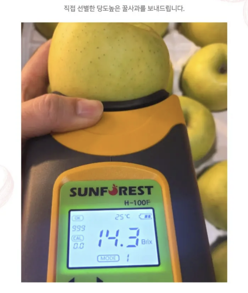 아오리 사과 제철 10kg