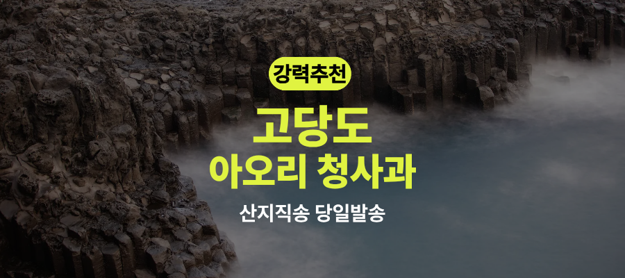 고당도 국내산 아오리 사과 제철 10kg 찐후기 제품 이미지