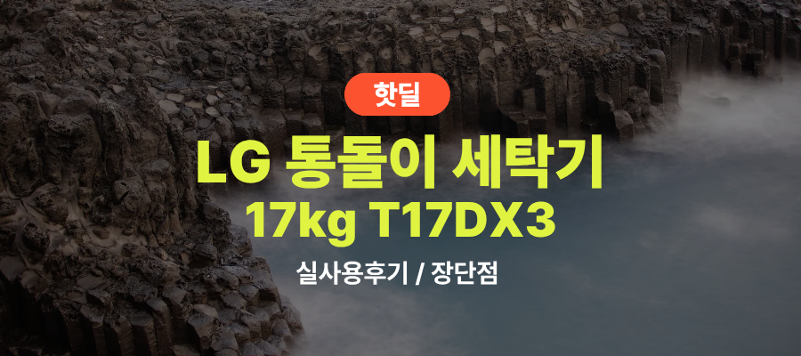 LG T17DX3 통돌이 세탁기 후기 총정리, 49만원대 특가 타이밍 잡는 법 17kg DD모터 인공지능 미드프리실버 세탁기 추천, “세탁 시간 확 줄여주는” 장단점 및 실구매가 비교 제품 이미지