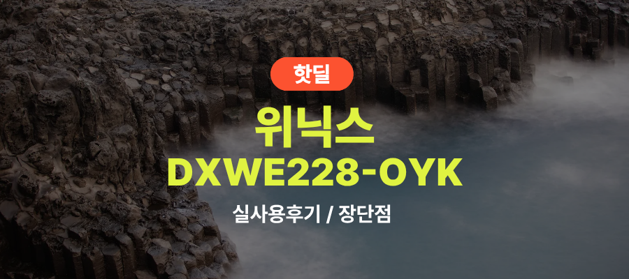 위닉스 DXWE228-OYK 뽀송 제습기 실사용 후기, 36만원대 특가 정보 22L 대용량 1등급 스탠드 인버터 제습기 추천, “장마철 걱정 더는” 장단점 솔직 정리 제품 이미지