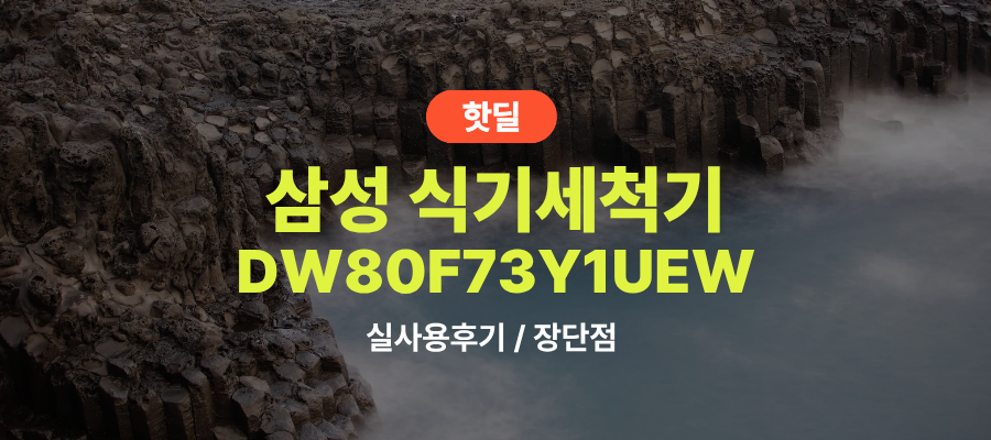 삼성 DW80F73Y1UEW 비스포크 식기세척기 실사용 후기, 91만원대 특가 타이밍 잡는 법 14인용 1등급 AI세척 저소음 빌트인 추천, “설거지 시간 되찾는” 장단점 및 실구매가 비교 제품 이미지