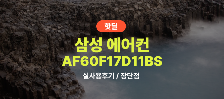 삼성 AF60F17D11BS Q9000 실사용 후기, 135만원대 특가 타이밍 잡는 법 17.2평 맞춤건조 AI진단 스탠드 에어컨 설치비포함 추천, “온도까지 알아서 맞추는” 장단점 및 실구매가 비교 제품 이미지
