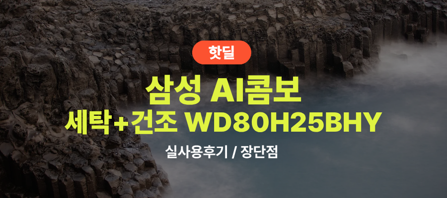 삼성 WD80H25BHY AI콤보 사용 후기, 297만원대 특가 확인법 25kg+18kg 1등급 일체형 세탁건조기 추천, “건조까지 한 번에 끝내는” 장단점 및 실구매가 비교 제품 이미지