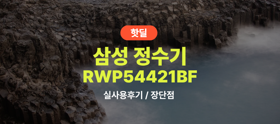 삼성 RWP54421BF 비스포크 직수형 정수기 실사용 후기, 89만원대 특가 정보 빌트인 언더싱크 냉온 정수기 (필터 증정 정보 포함) 추천, “설치 티 안 나는” 장단점 솔직 정리 제품 이미지