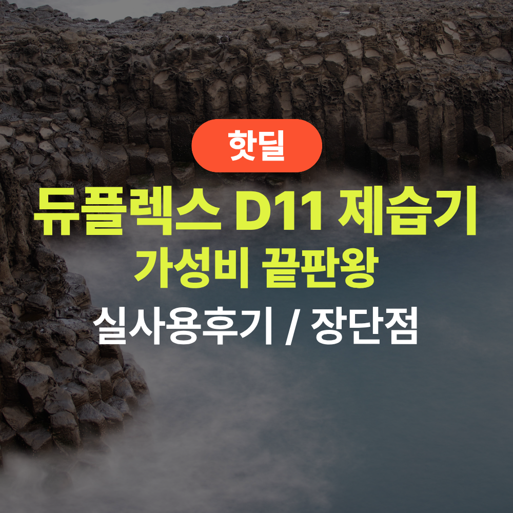 듀플렉스 D11 제습기 실사용 후기, 11만원대 특가 확인법 대용량 성에제거 사무실 저소음 공기정화 가성비 추천, “10만원대로 이런 고성능이 말이 됨” 장단점 및 실구매가 비교 제품 이미지