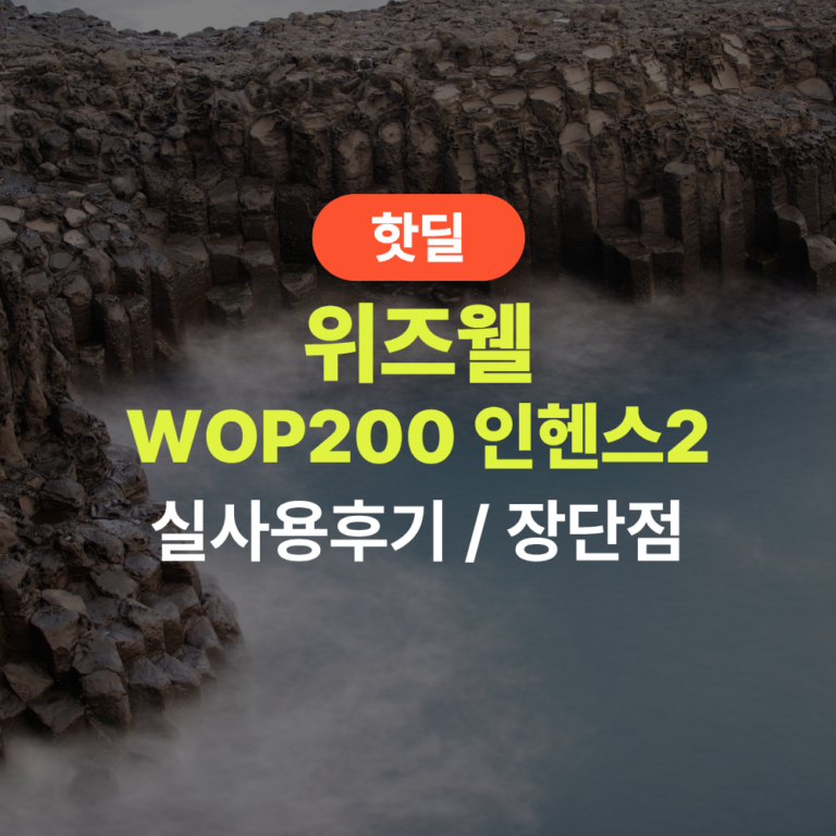 위즈웰 WOP200 인헨스2 실사용 후기, 47만원대 특가 타이밍 잡는 법 스팀오븐 베이킹 제과 컨벡션 전기오븐 제빵 가정용 추천, “빵부터 요리까지 다 되는” 장단점 및 실구매가 비교