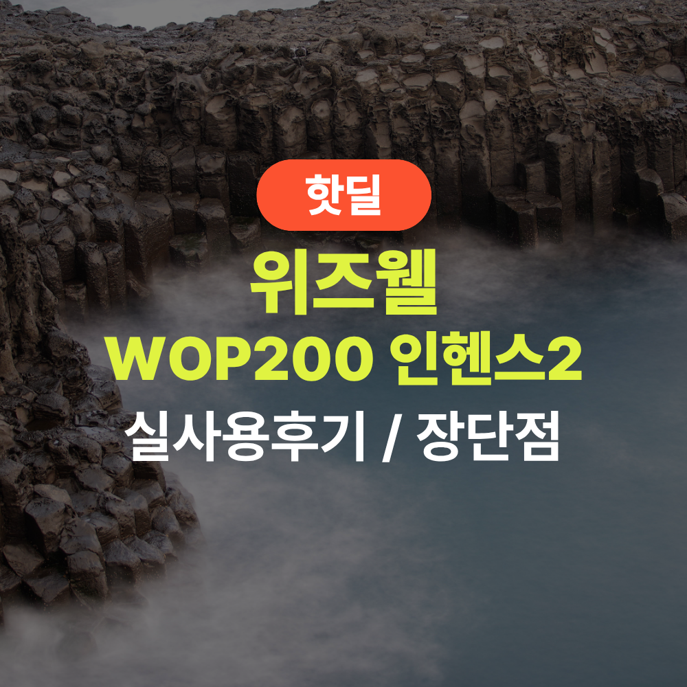 위즈웰 WOP200 인헨스2 실사용 후기, 47만원대 특가 타이밍 잡는 법 스팀오븐 베이킹 제과 컨벡션 전기오븐 제빵 가정용 추천, “빵부터 요리까지 다 되는” 장단점 및 실구매가 비교 제품 이미지